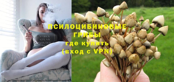 apvp Балахна